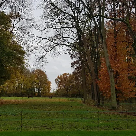 Le Chateau De 1916 *