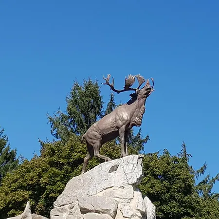 Le Chateau De 1916 *