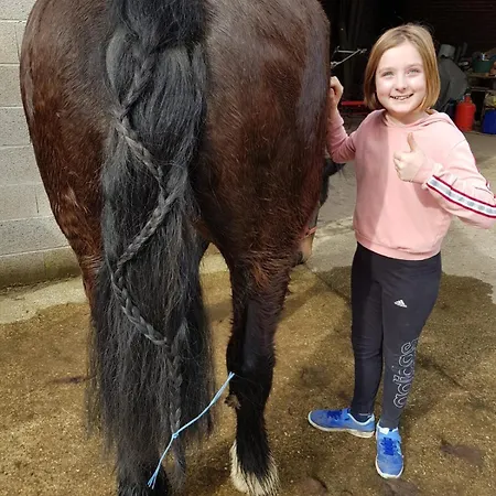 Le Chateau De 1916 Отель типа 