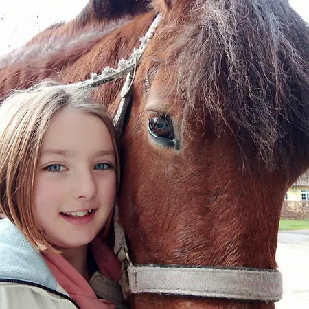 Le Chateau De 1916 *