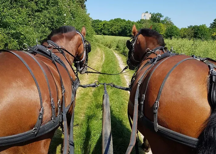 Couette-café Le Château De 1916 Mesnil-Martinsart