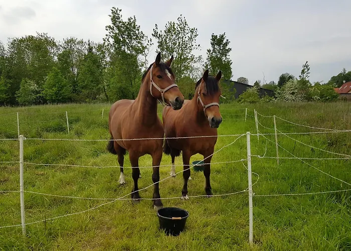 Le Château De 1916 Couette-café