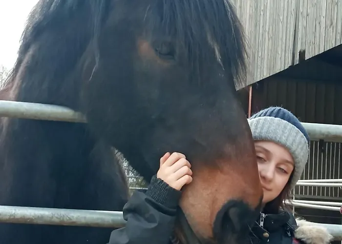 Couette-café Le Château De 1916 Mesnil-Martinsart
