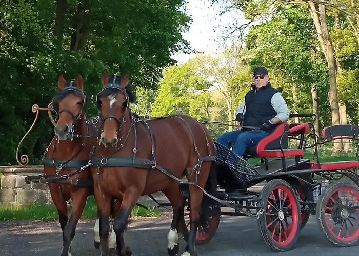 Le Château De 1916 Mesnil-Martinsart